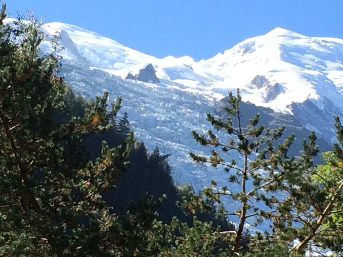 Chalet Des Petits Loups Chamonix Bagian luar foto