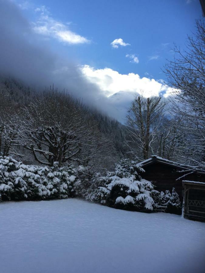 Chalet Des Petits Loups Chamonix Bagian luar foto